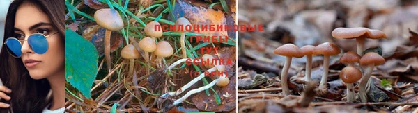 кокаин Верхний Тагил