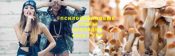 ECSTASY Волосово