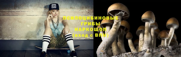 ECSTASY Волосово