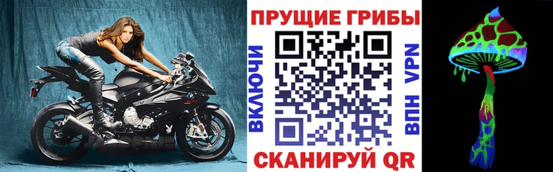 Галлюциногенные грибы мухоморы  купить наркотики сайты  Волосово 